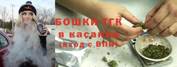 прущие грибы Балабаново