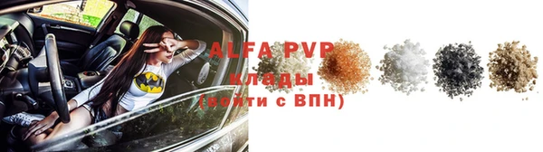 твердый Арсеньев