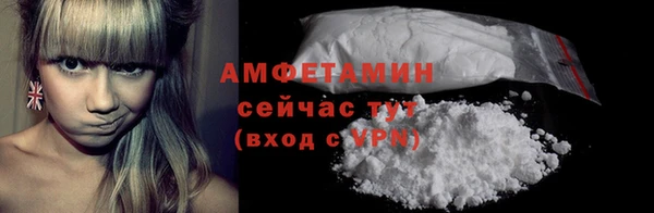 твердый Арсеньев