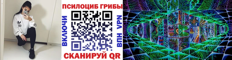 Псилоцибиновые грибы прущие грибы  Краснослободск 